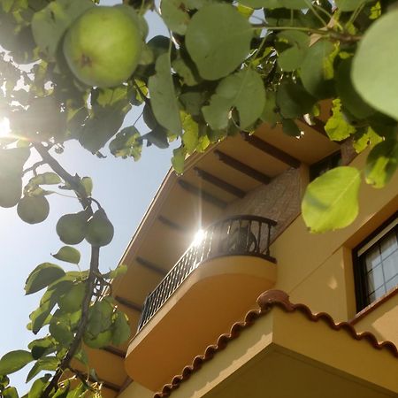 Posada Las Garzas Santoña エクステリア 写真
